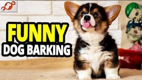 Top 10 Funny Dog Barking Clips