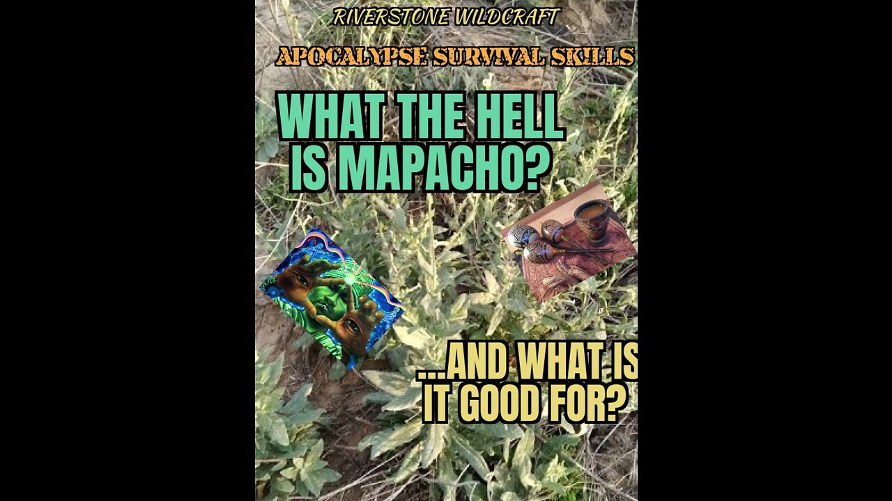 What in the hell is Mapacho?