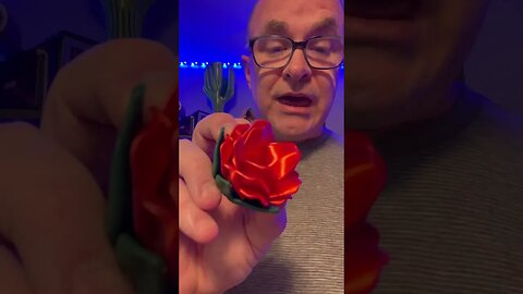 Maz’s flowers won. #3dprintinglife #3dprinting #flowers #flowercompetition