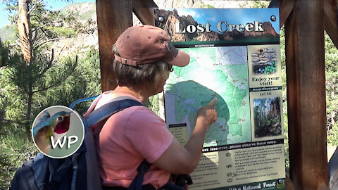 Wigwam | Summer | Lost Creek Wilderness | Colorado Trails