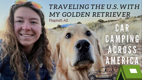 Solo Female and a Golden Retriever Car Camping Across America. Flagstaff, AZ (Walnut Canyon)