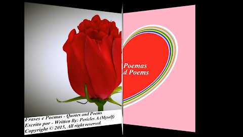 Você faz meus sentimentos desabrocharem como uma rosa [Frases e Poemas]