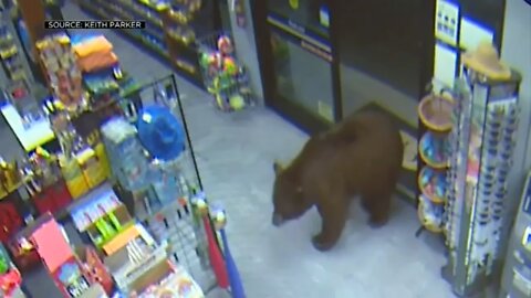 Weirdest things caught on security camera￼