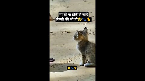 mother love