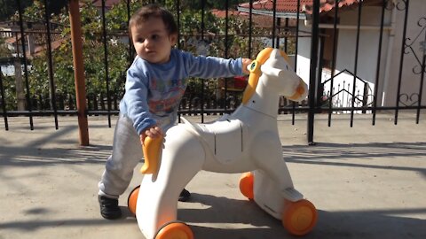 Little Baby are playing with horse he is not more 1 years