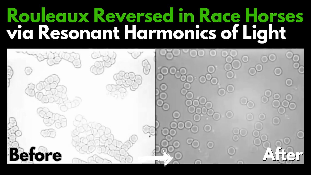 Mitigating EMF Toxicity at the Cellular Level via Resonant Harmonics of Photons