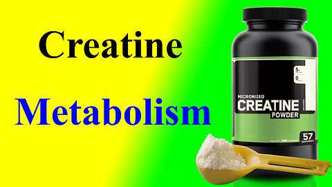 Creatine metabolism