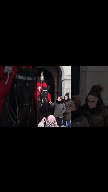 The horse bites her #horseguardsparade