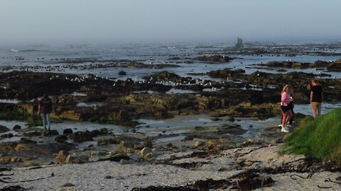 SOUTH AFRICA - Cape Town - Mouille Point standalones (Video) (WMM)