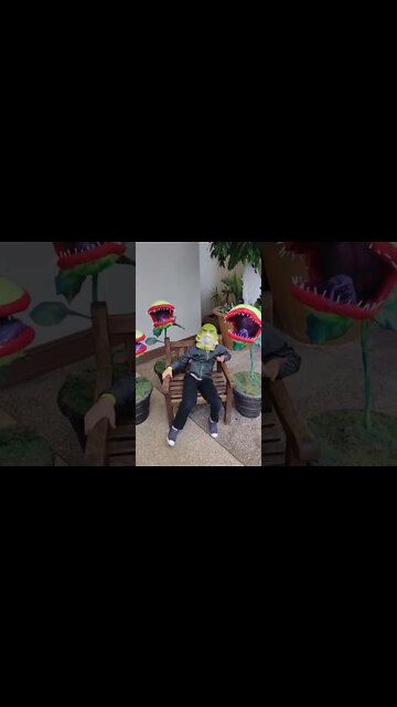 Gillman from Creature from the Black Lagoon visits Mushnick's flowers little shop of horrors Hershey