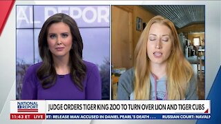 JUDGE ORDERS TIGER KING ZOO TO TURN OVER LION AND TIGER CUBS