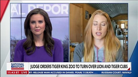 JUDGE ORDERS TIGER KING ZOO TO TURN OVER LION AND TIGER CUBS