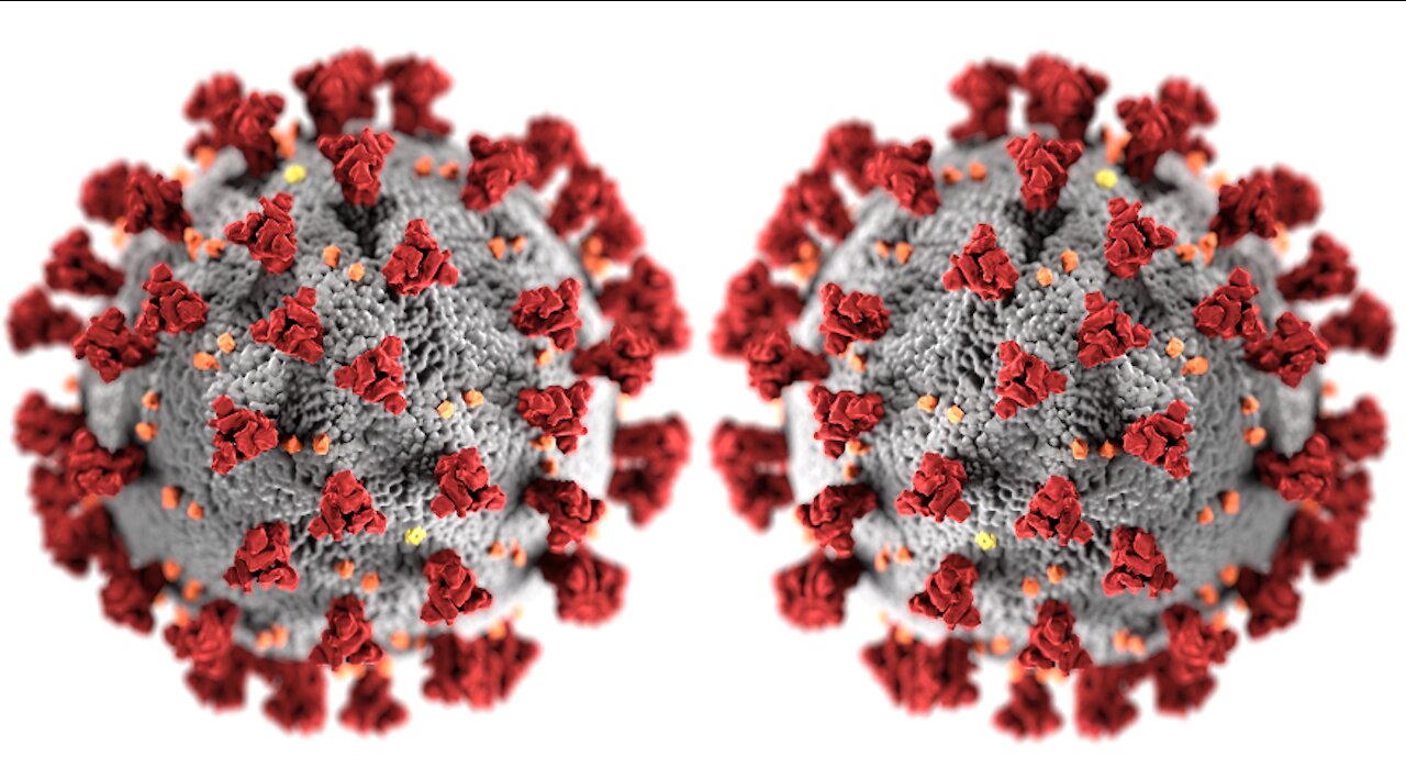 ABC's Good Morning America Pushes New COVID "Double Mutant" Variant, DeSantis Bans Vaccine Passports