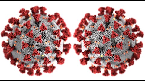 ABC's Good Morning America Pushes New COVID "Double Mutant" Variant, DeSantis Bans Vaccine Passports