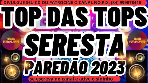 TOP DAS TOPS SERESTA PRA PAREDÃO 2023 SELEÇÃO COM AS MAIS TOCADAS DE SERESTA DE BAR 2023