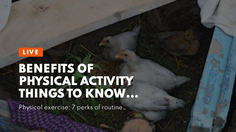 Benefits of Physical Activity Things To Know Before You Get This