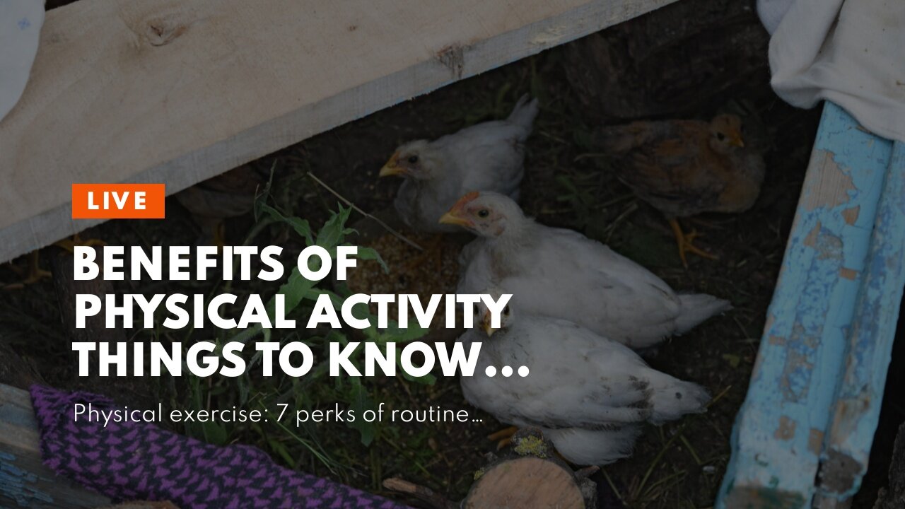 Benefits of Physical Activity Things To Know Before You Get This