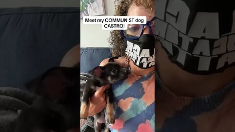 Meet my COMMUNIST DOG! #satire #shorts