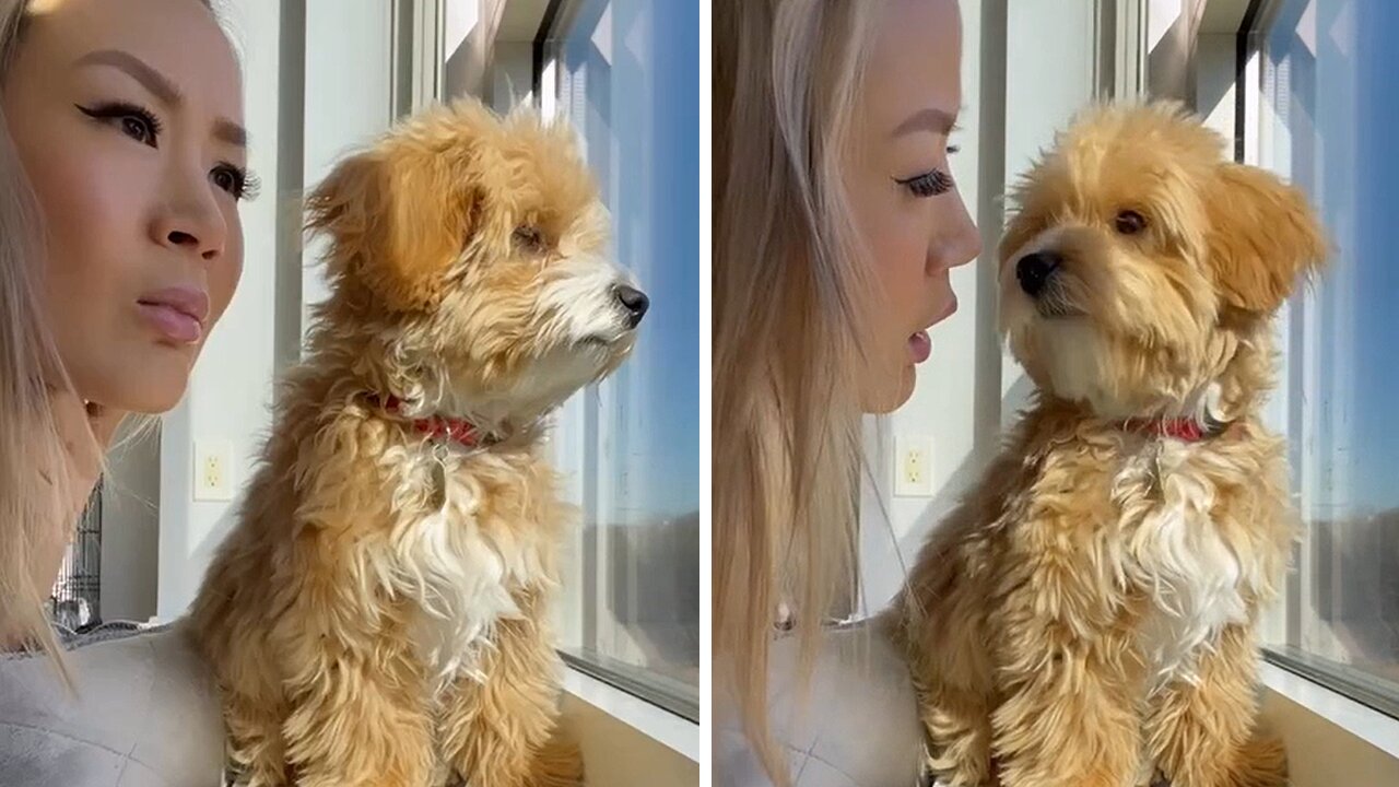 Mom joins pup to look out the window