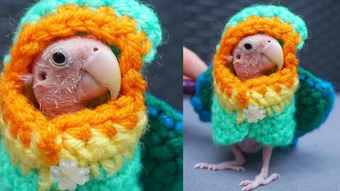 Rhea the Naked Birdie