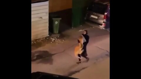 Animals CAUGHT Causing A Public Disturbance
