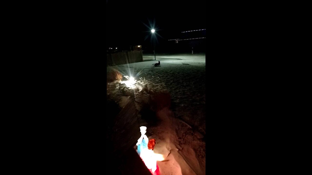 Rocky laser running