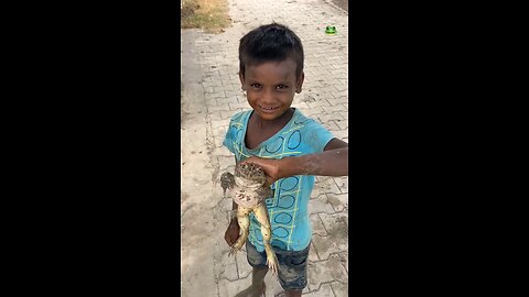 funny videos funny 🤣 video