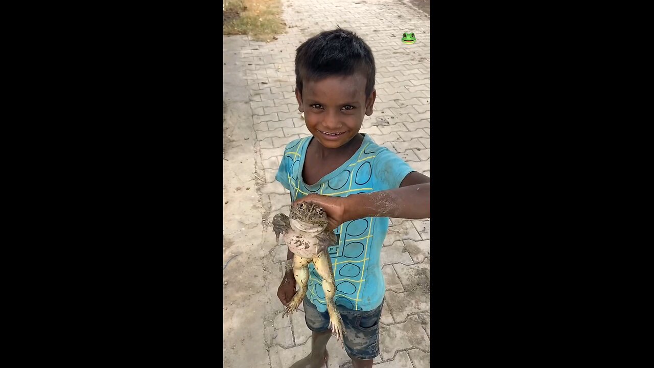 funny videos funny 🤣 video