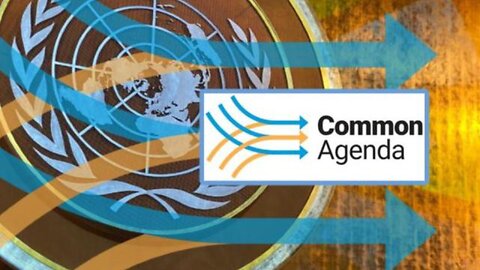 We Must Fight The Summit Of The Future & The Planetary Emergency