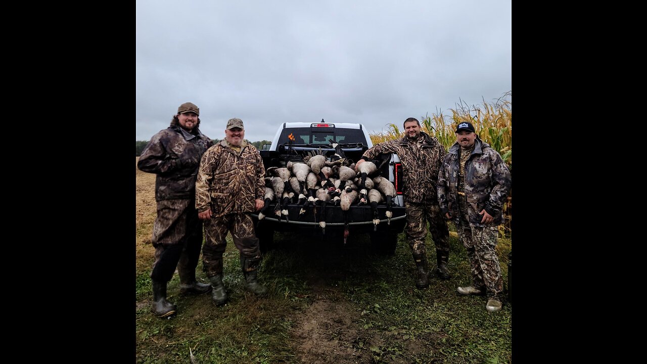 We put the smack down on a 4 man limit of Canada's today for lake eries marsh zone opener!