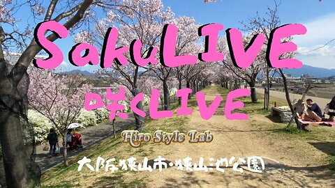 咲くライブ：大阪狭山市・狭山池公園から桜だよりです。＃さくら、＃狭山池公園、＃ライブ配信