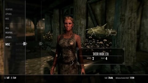 Skyrim #21