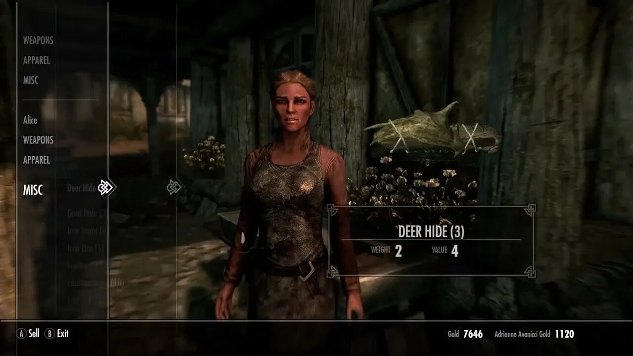 Skyrim #21