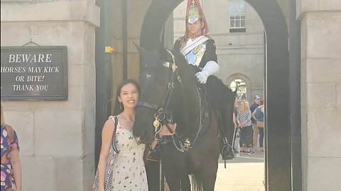 Horse telling of tourist's touching the reins #horseguardsparade