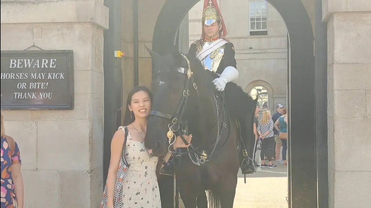 Horse telling of tourist's touching the reins #horseguardsparade