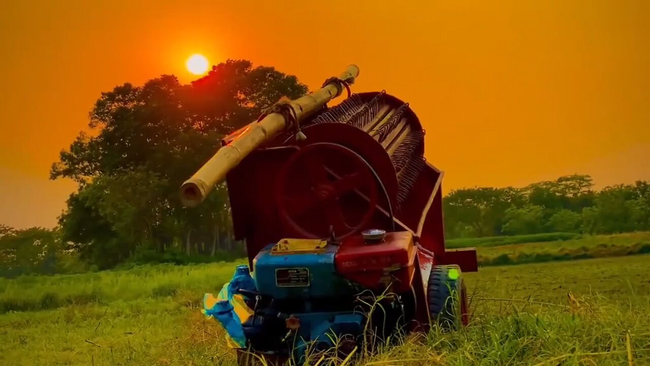 The beauty of rural Bengal. 🥰