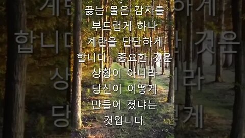 동기 부여 인용문 6 #shorts