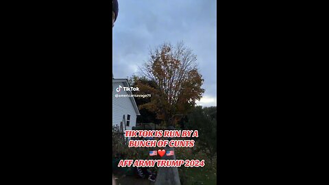 TikTok Removing Videos