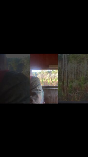 View from my Deerstand…Wait for it!