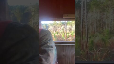 View from my Deerstand…Wait for it!