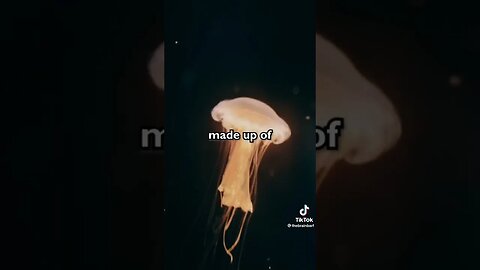 OMG THIS IS CRAZY😳 | Mariana Trench