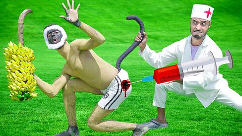 Must Watch Very Special Comedy Video 2024 Amazing Monkey 🐵 Comedy Video Injection Wala Funny Video
