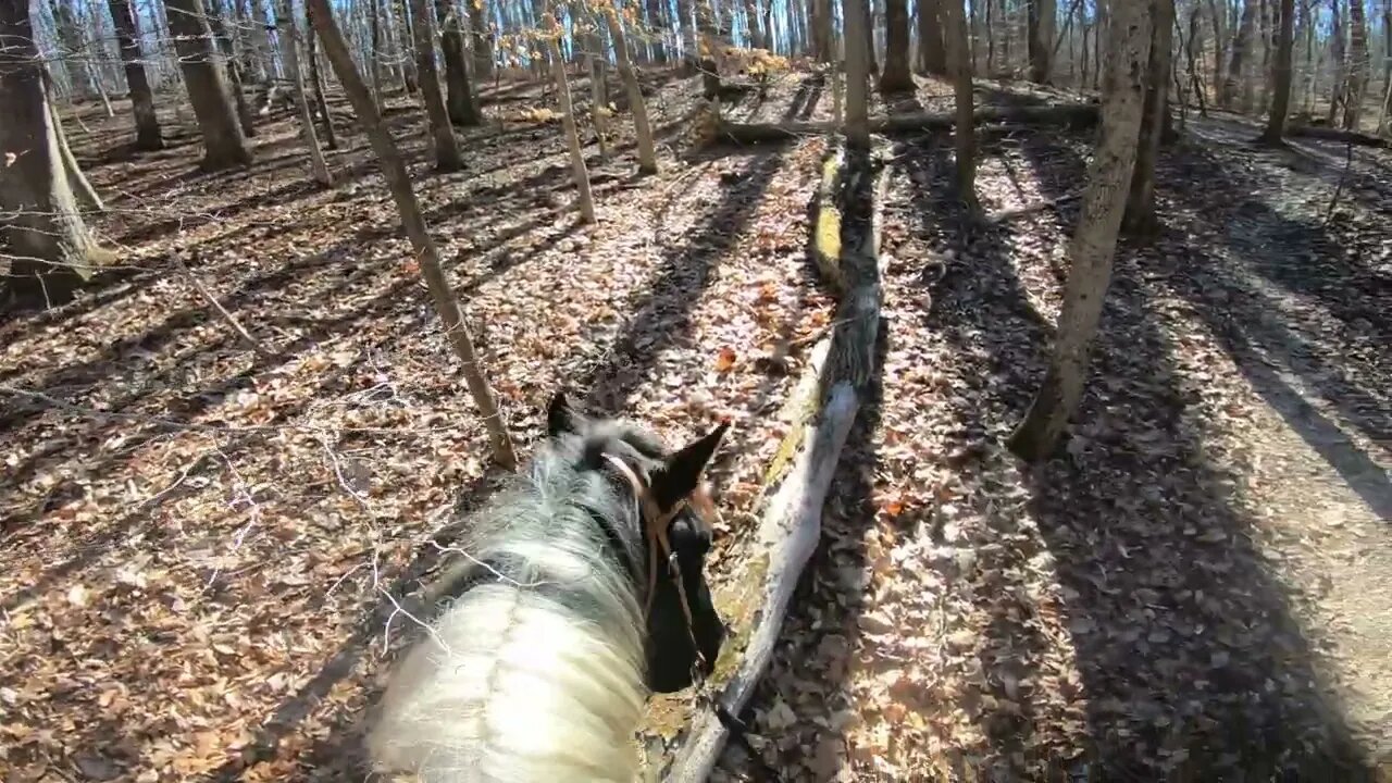 another fall
