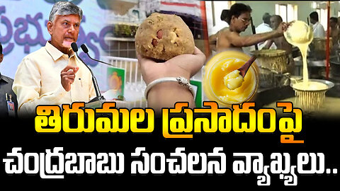 Chandrababu Sensational Comments On Tirumala Laddu | తిరుమల ప్రసాదంపై చంద్రబాబు సంచలన వ్యాఖ్యలు..