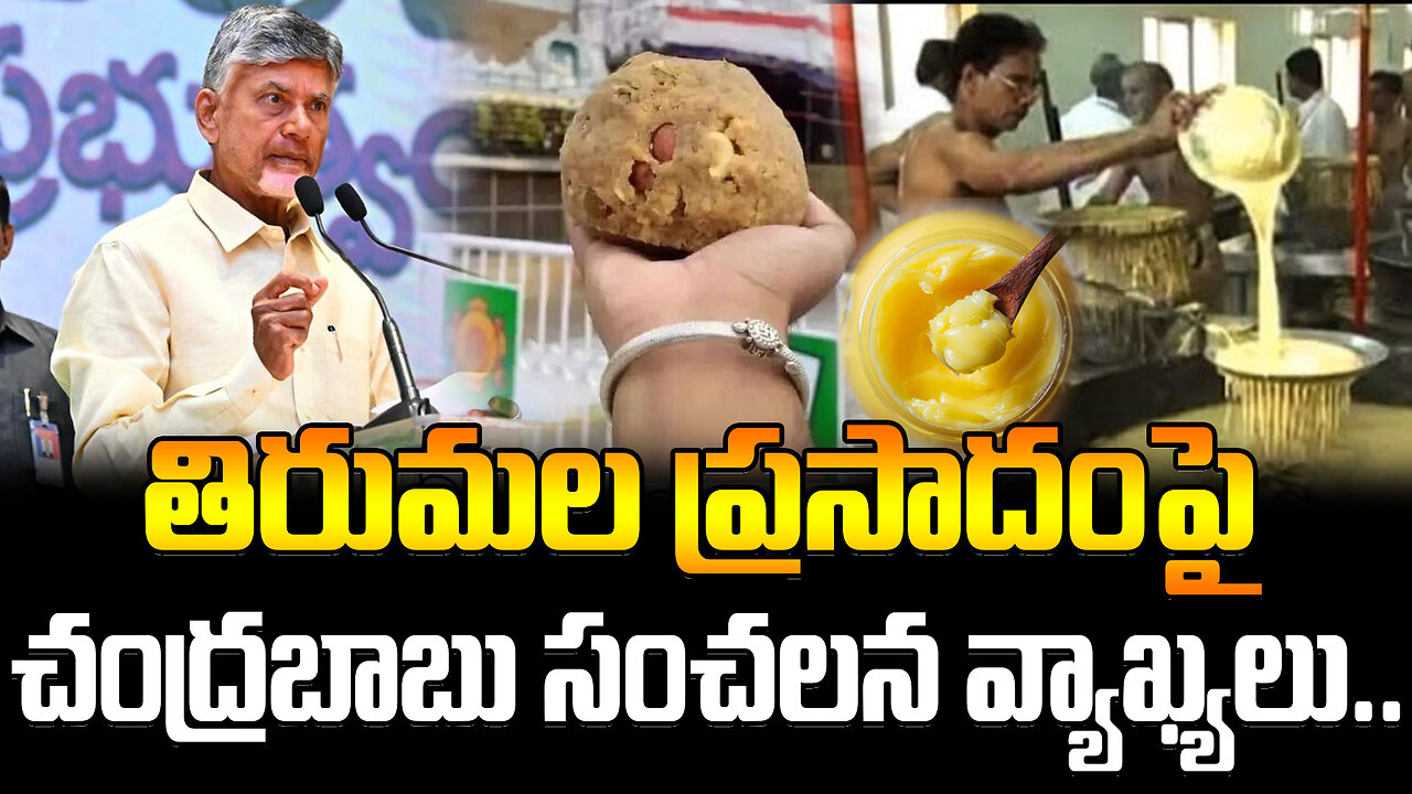 Chandrababu Sensational Comments On Tirumala Laddu | తిరుమల ప్రసాదంపై చంద్రబాబు సంచలన వ్యాఖ్యలు..
