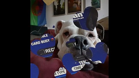 february 11th 2023 by Oscar van Son