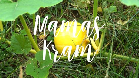Mom's diary July 26 to August 3, 2023 - Pumpkin, the whole plant is edible - repairing the backpack