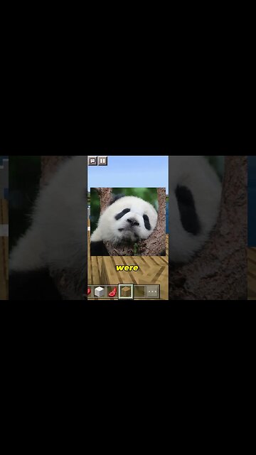 Pandas removing wheels