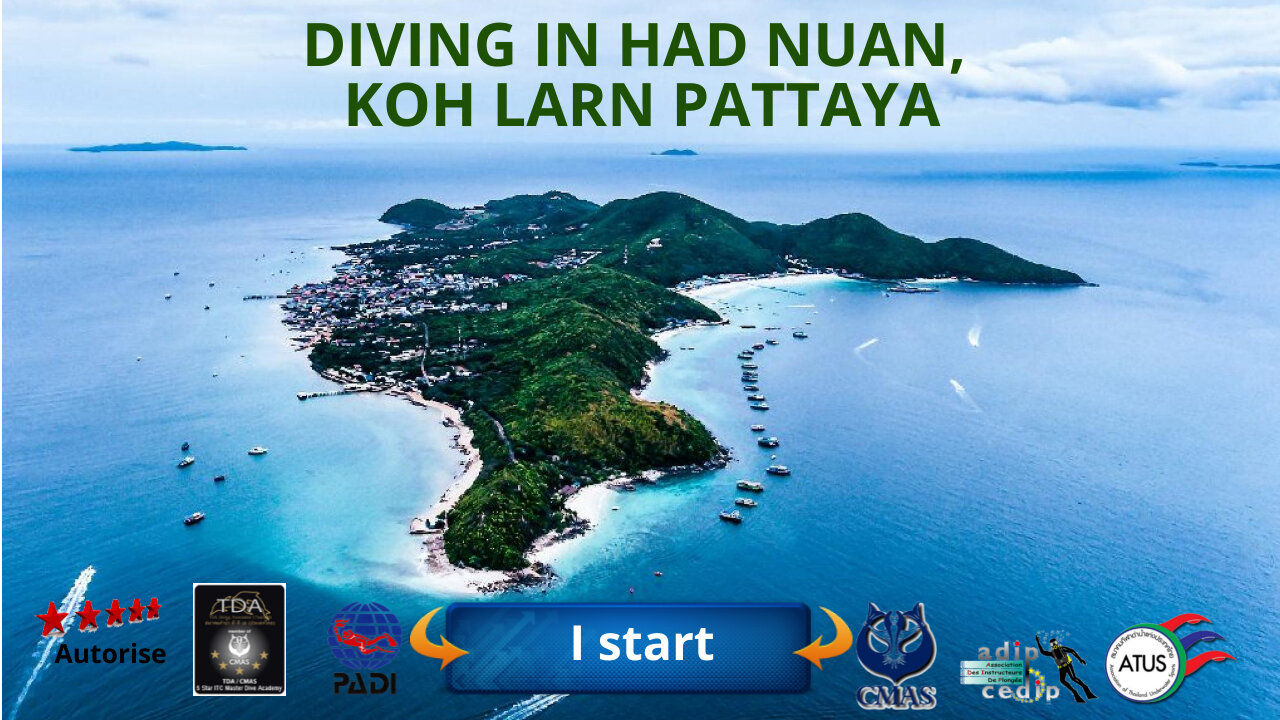 🤿 Diving in koh krok island near koh larn in Pattaya