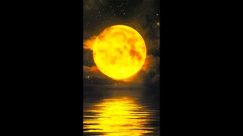 Amazingly Beautiful Piano & Ocean Waves 🎹🌊 Video Link Below